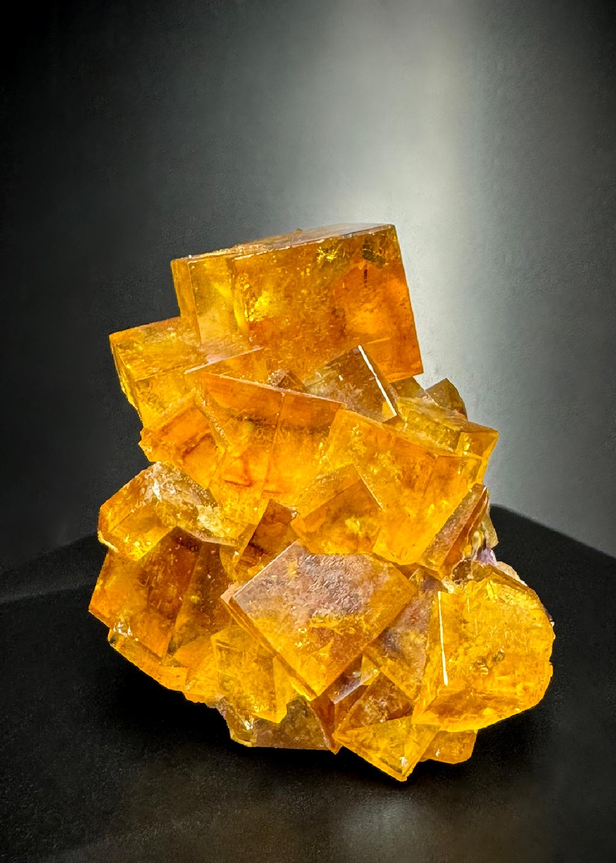CC50602 specimen image