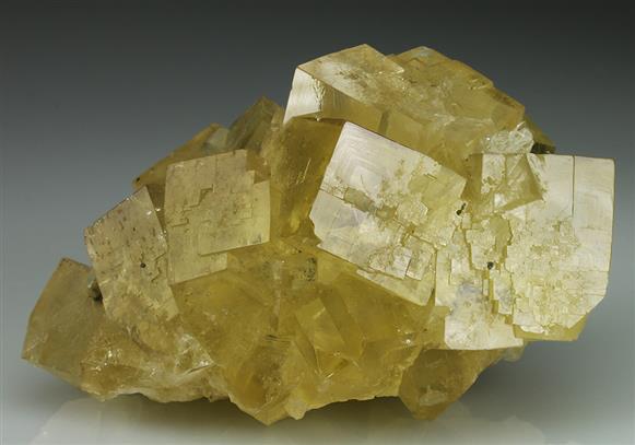 CC5091 specimen image