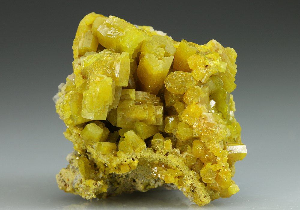 CC5103 specimen image