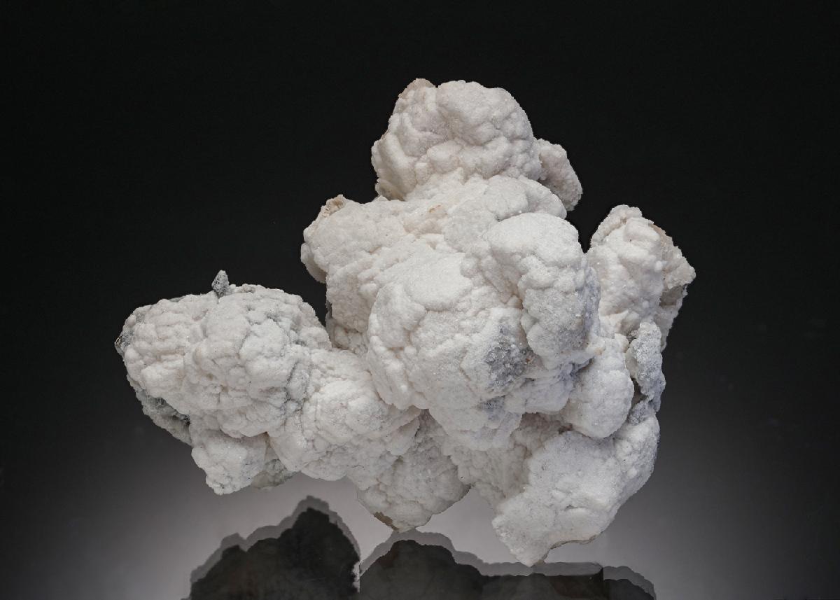 CC5117 specimen image