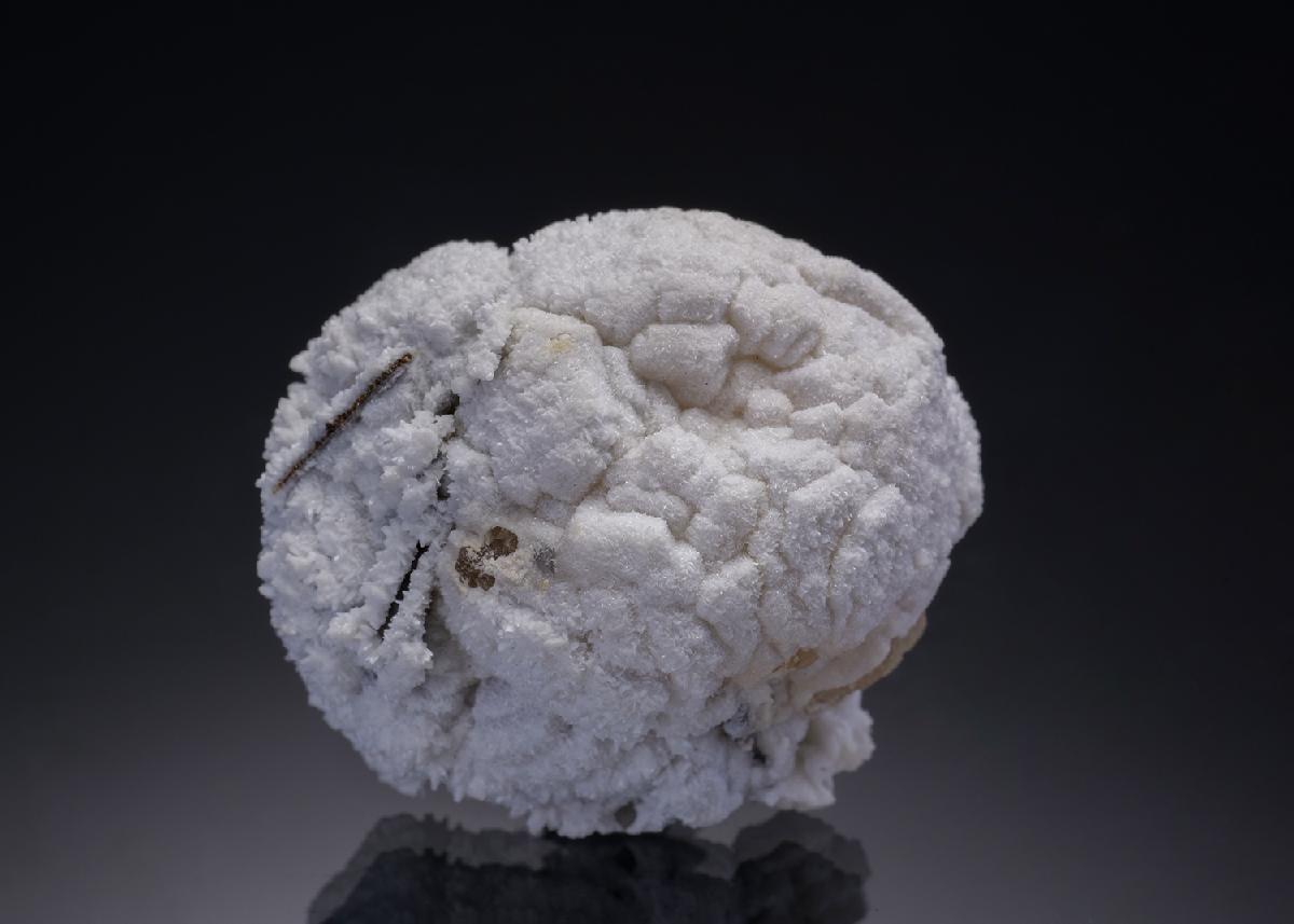 CC5155 specimen image