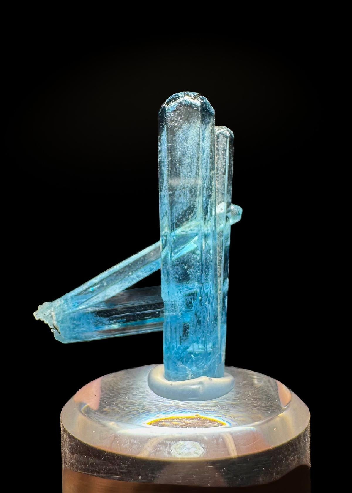 CC51896 specimen image