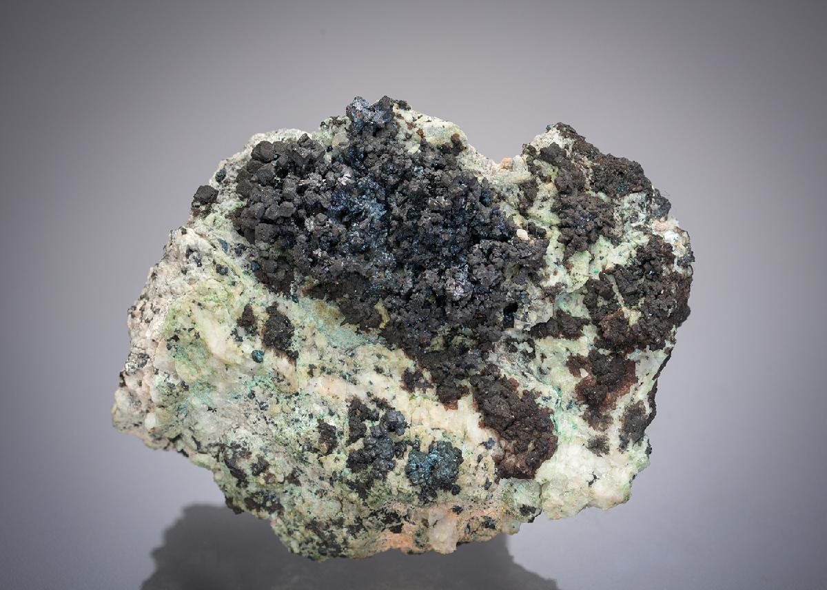 CC52116 specimen image