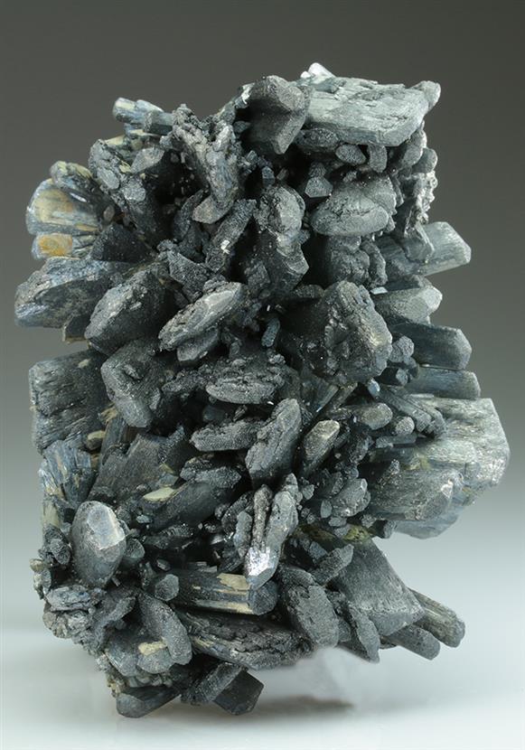 CC5299 specimen image