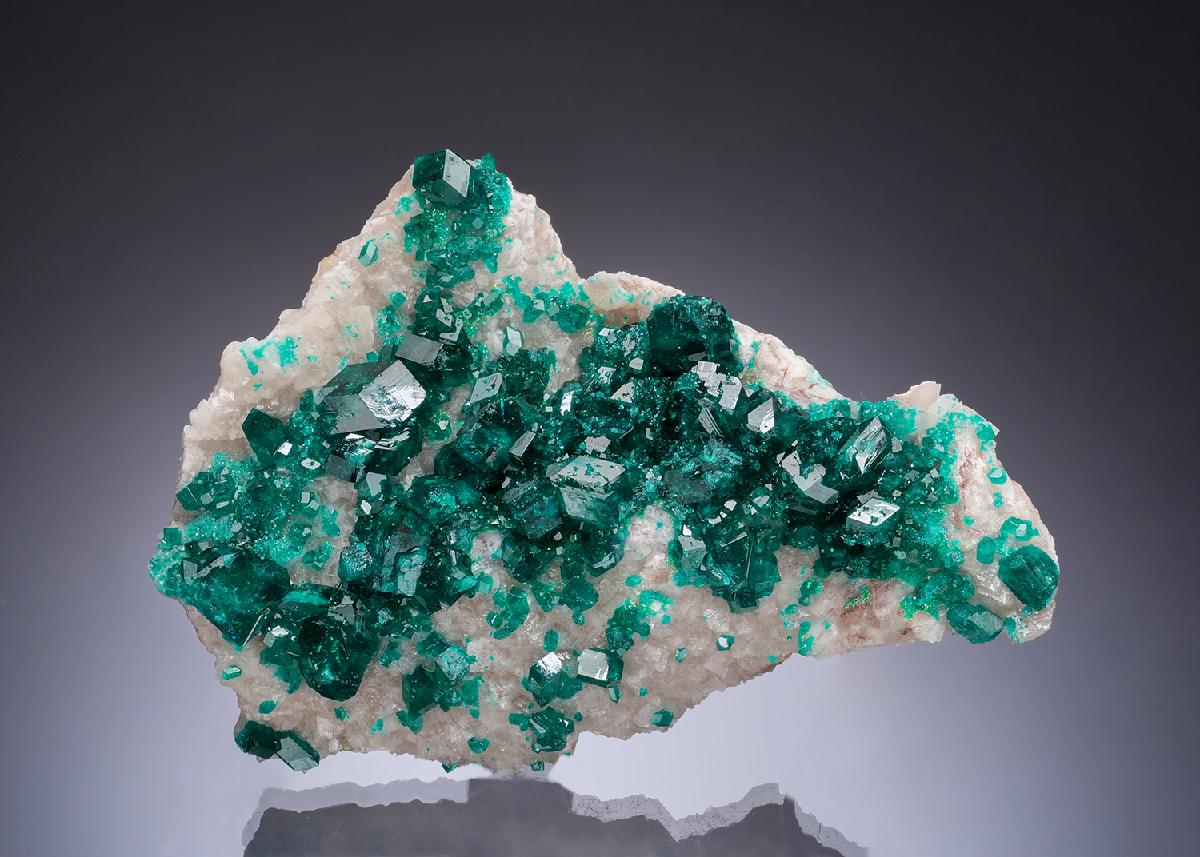 CC53360 specimen image