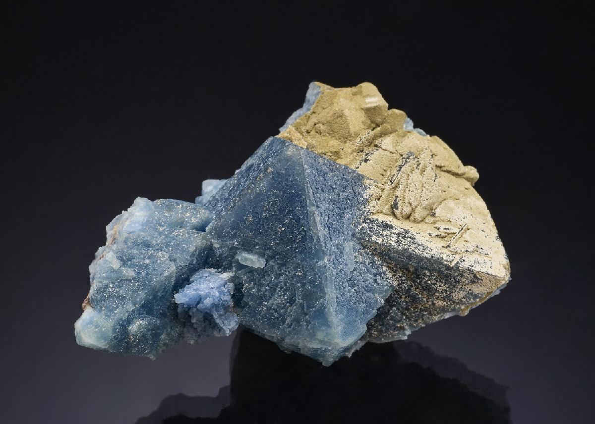 CC53404 specimen image