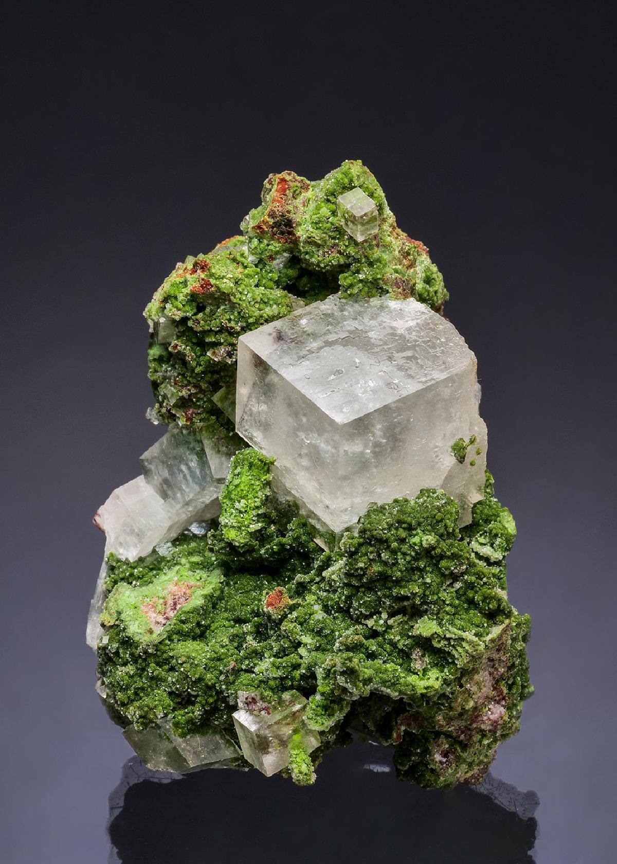 CC53634 specimen image