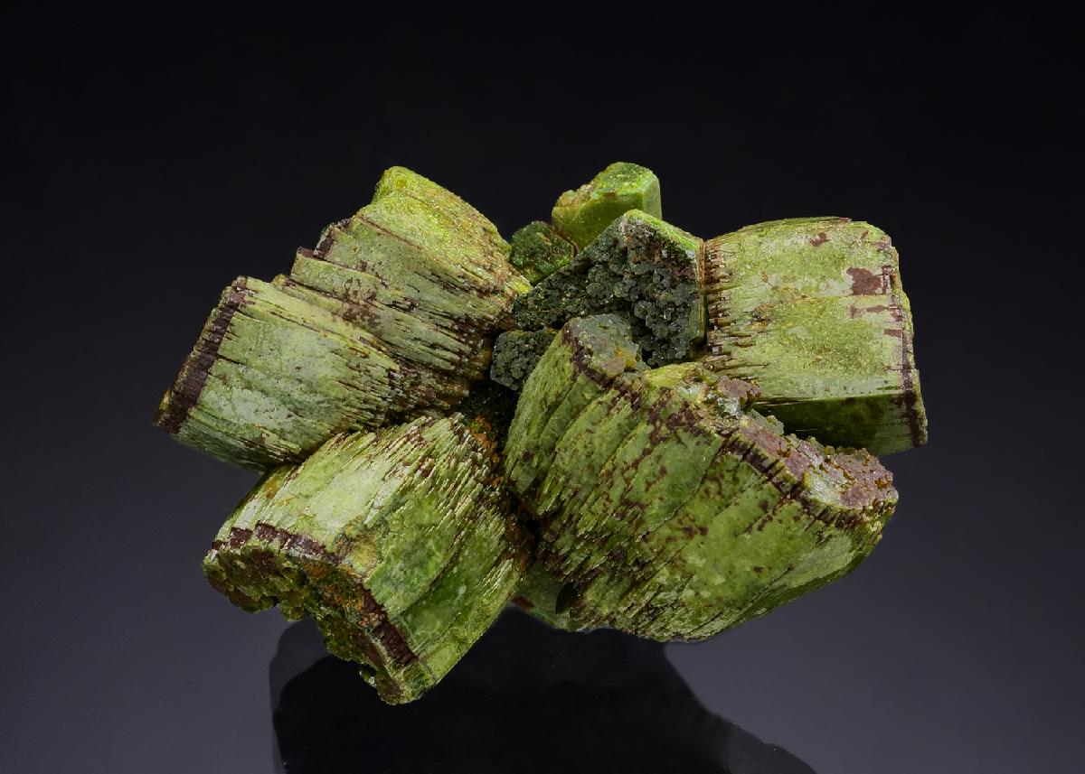 CC54042 specimen image