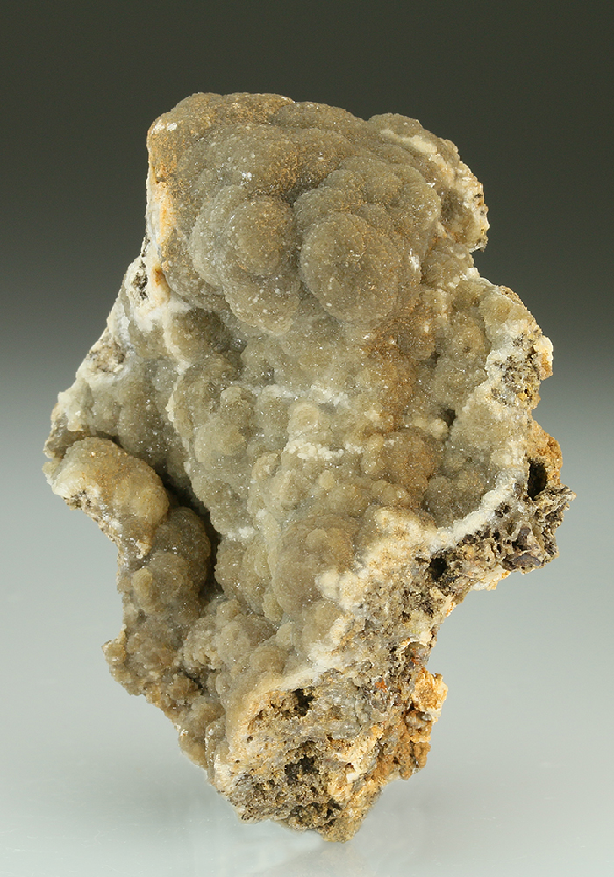 CC5406 specimen image