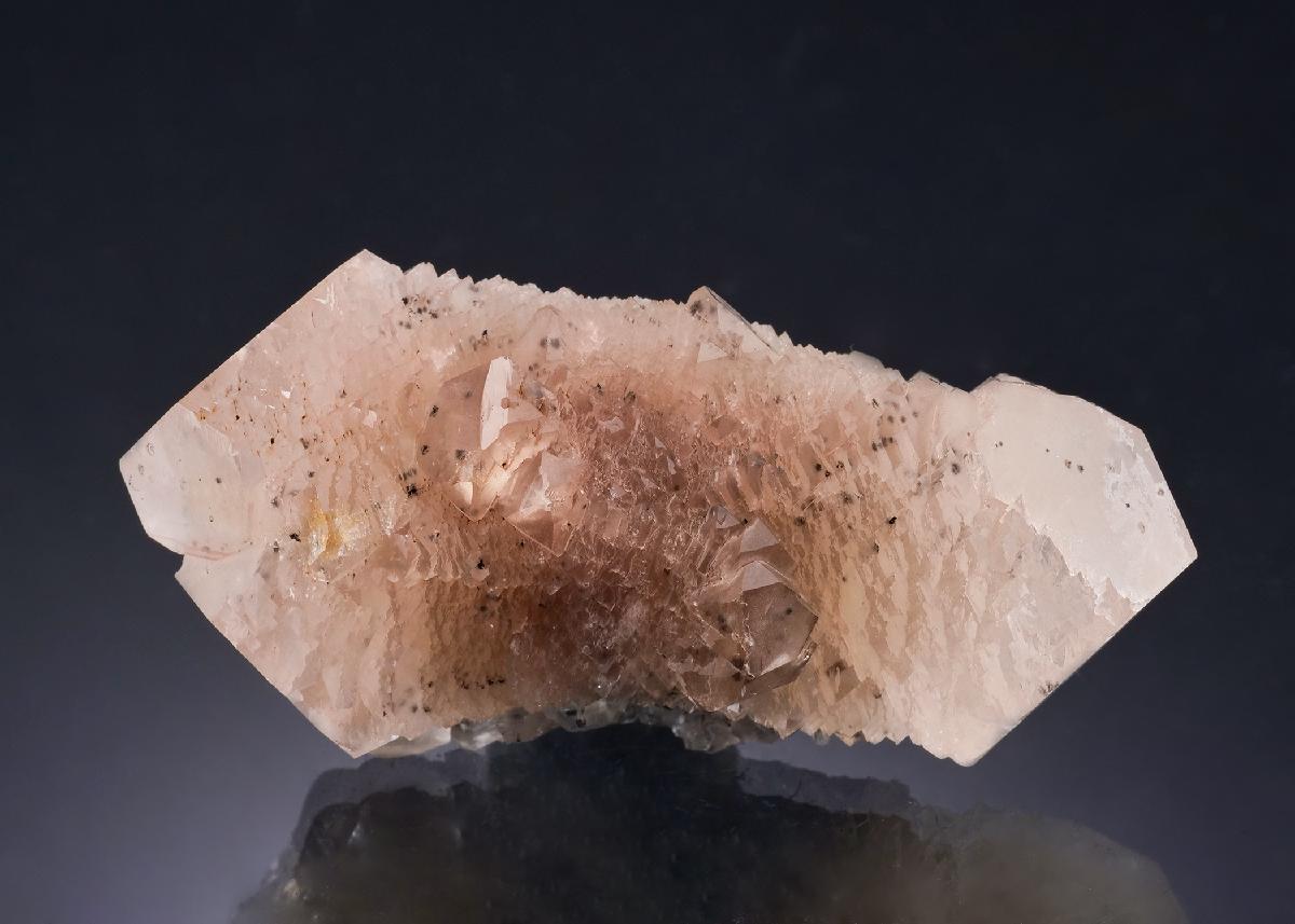 CC54104 specimen image