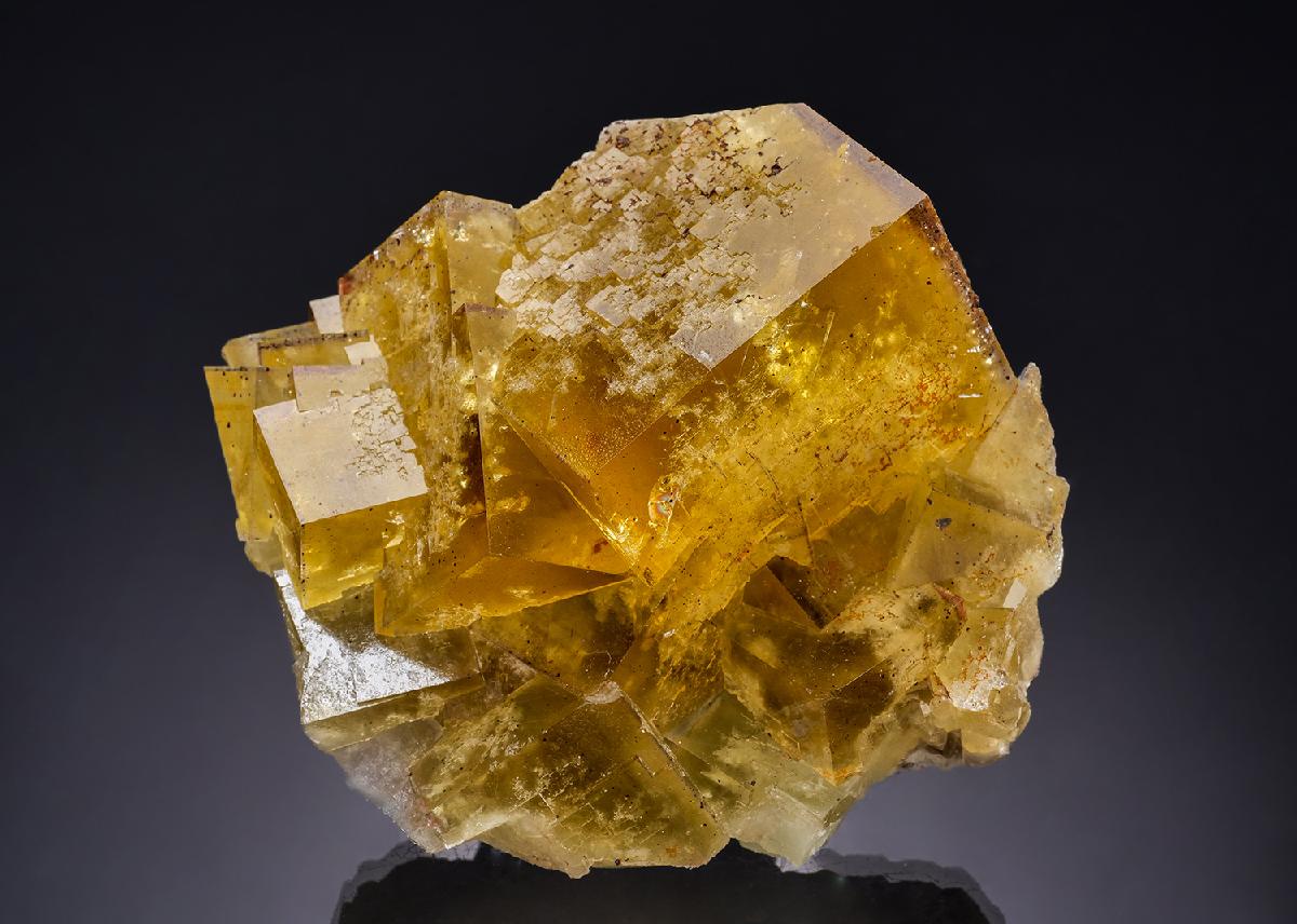 CC54126 specimen image