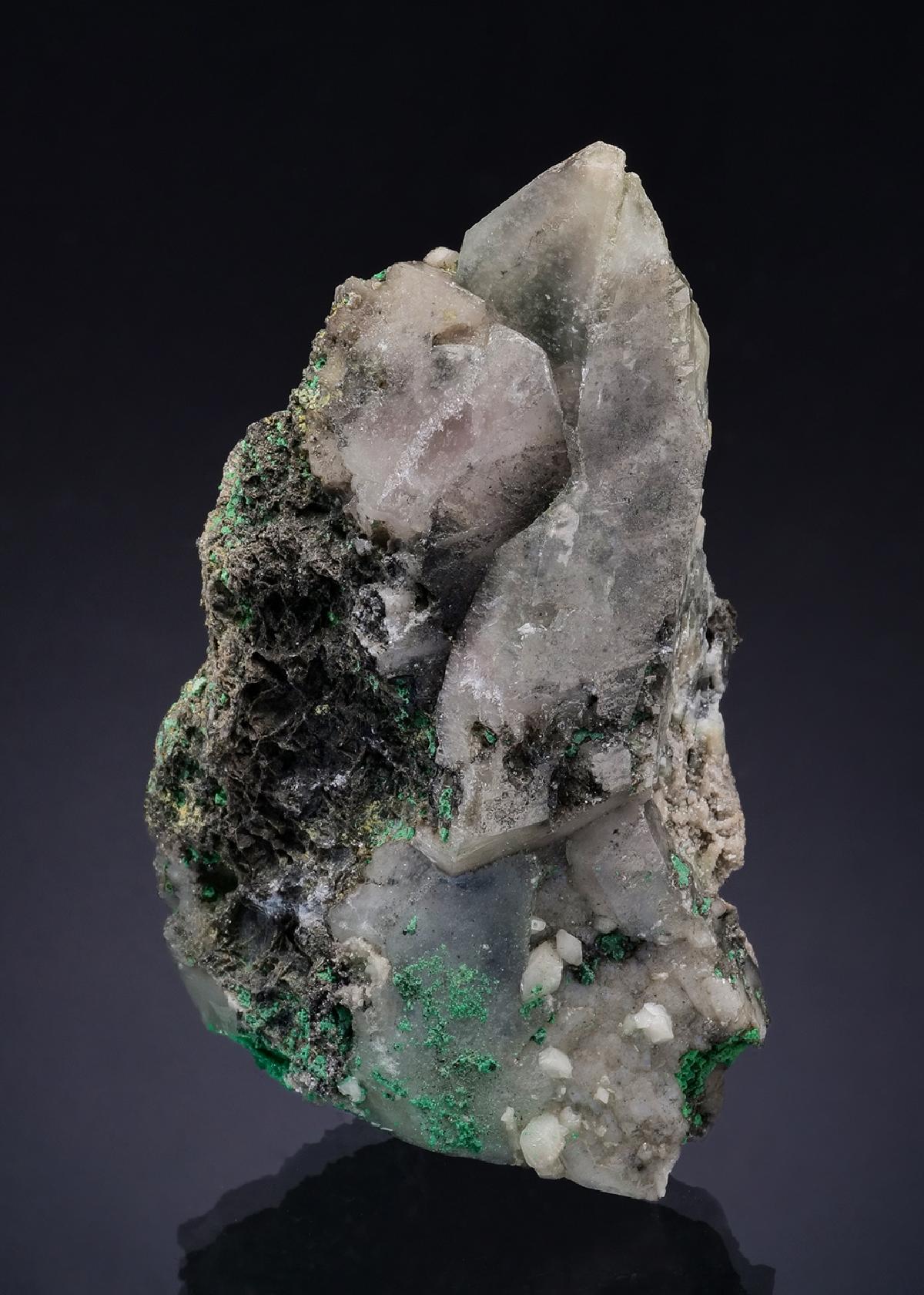 CC54214 specimen image