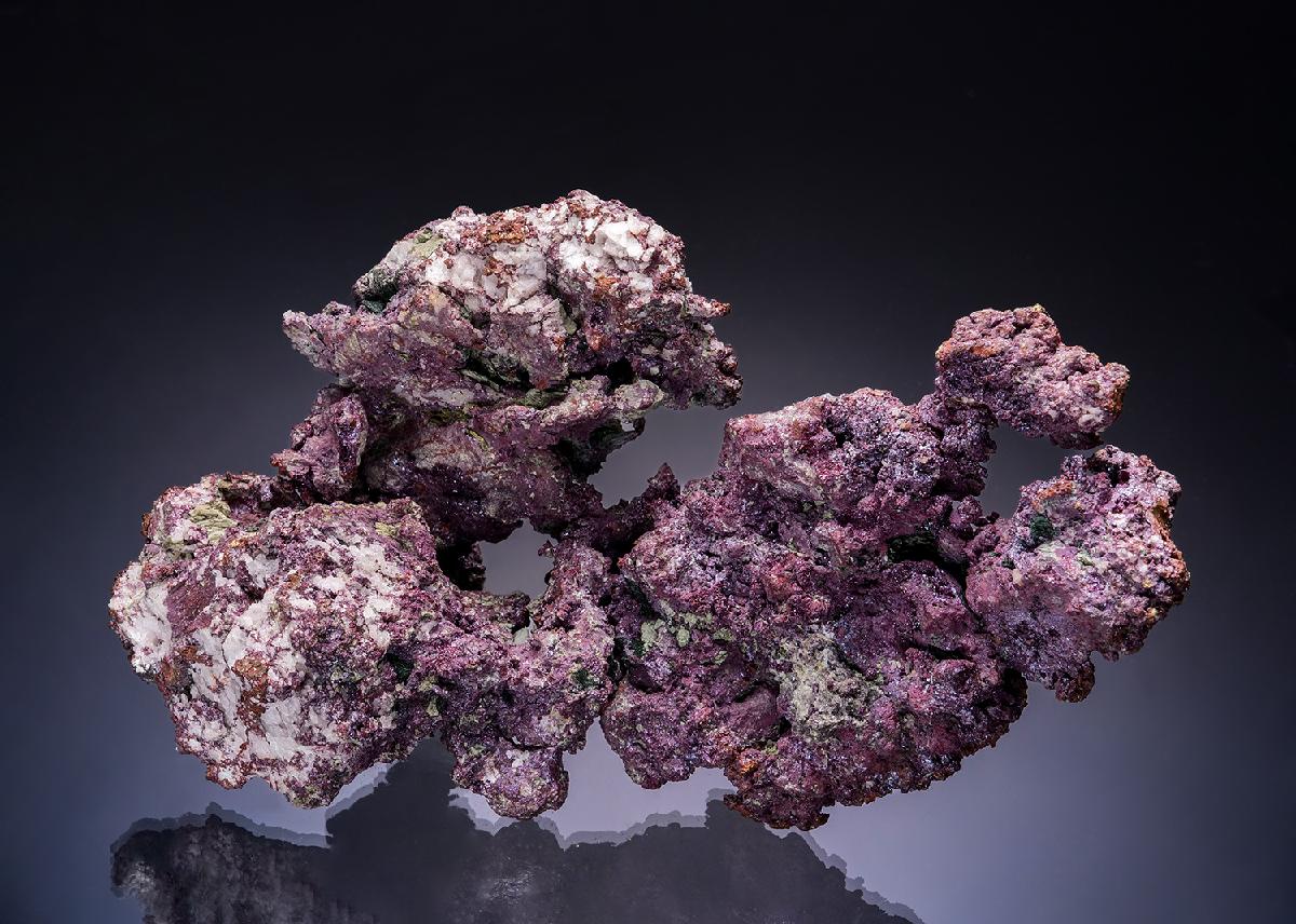 CC54250 specimen image