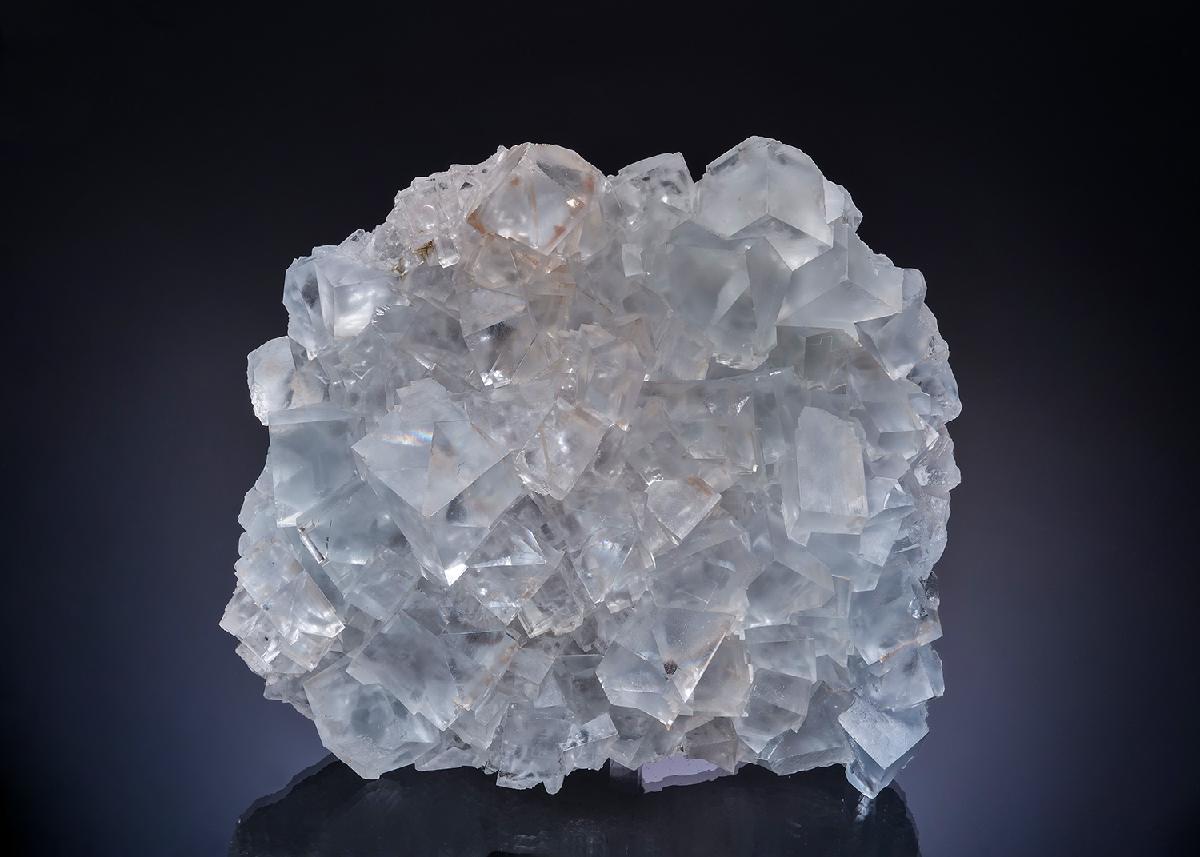 CC54258 specimen image