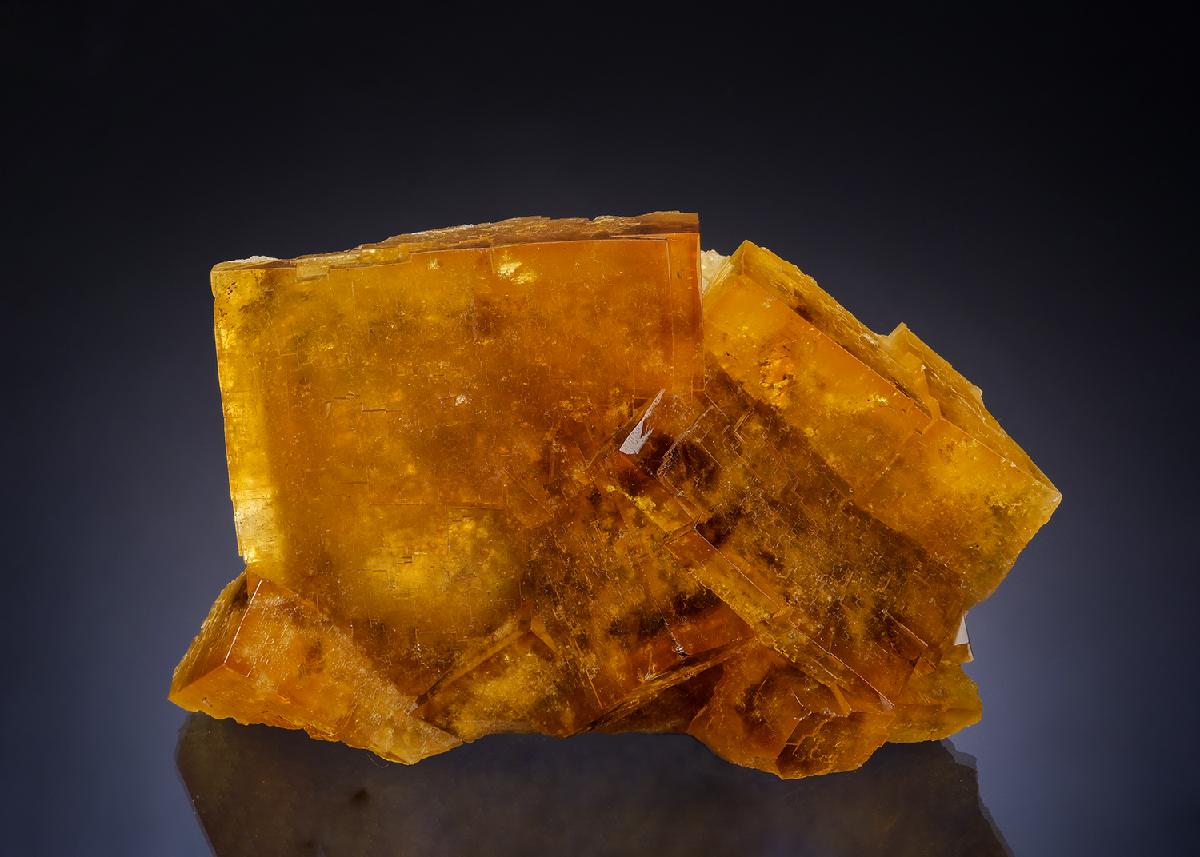 CC54266 specimen image