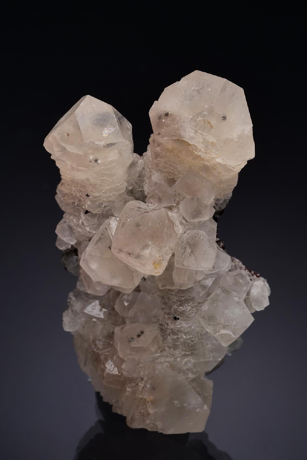CC54328 specimen image