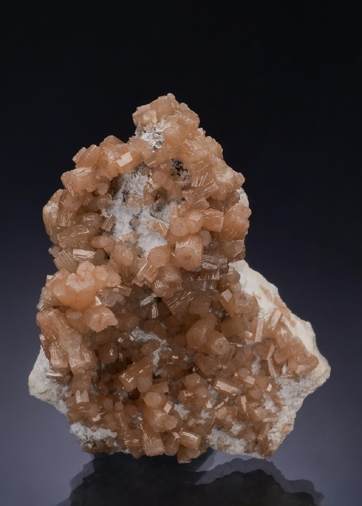 CC54392 specimen image