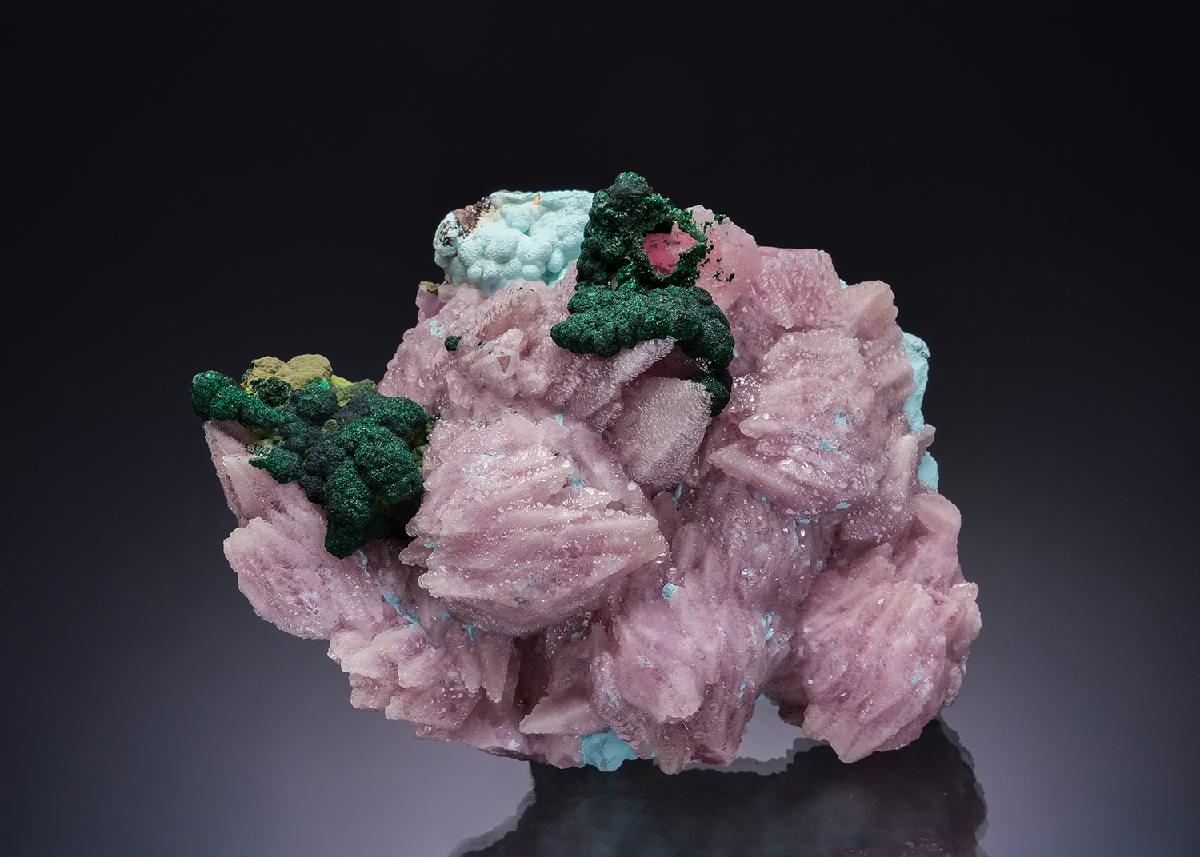 CC54470 specimen image