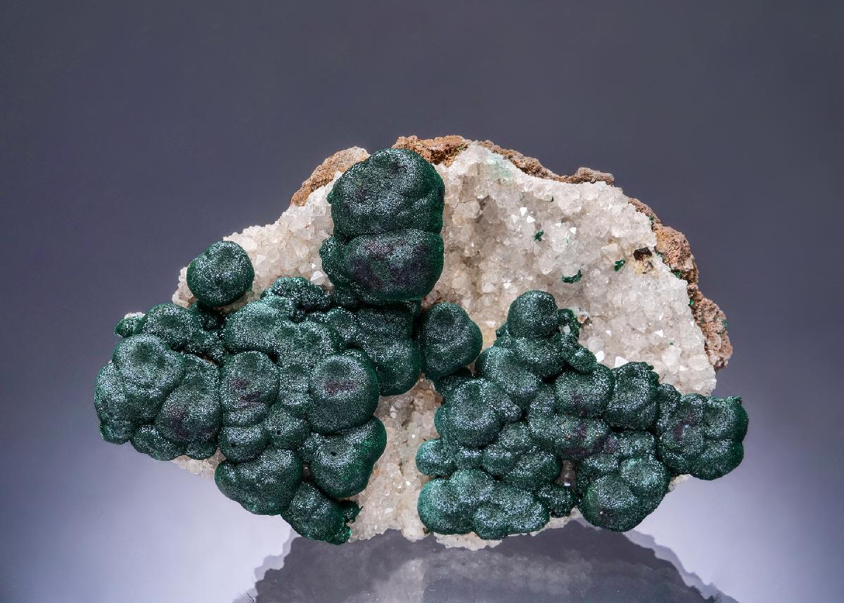 CC54624 specimen image