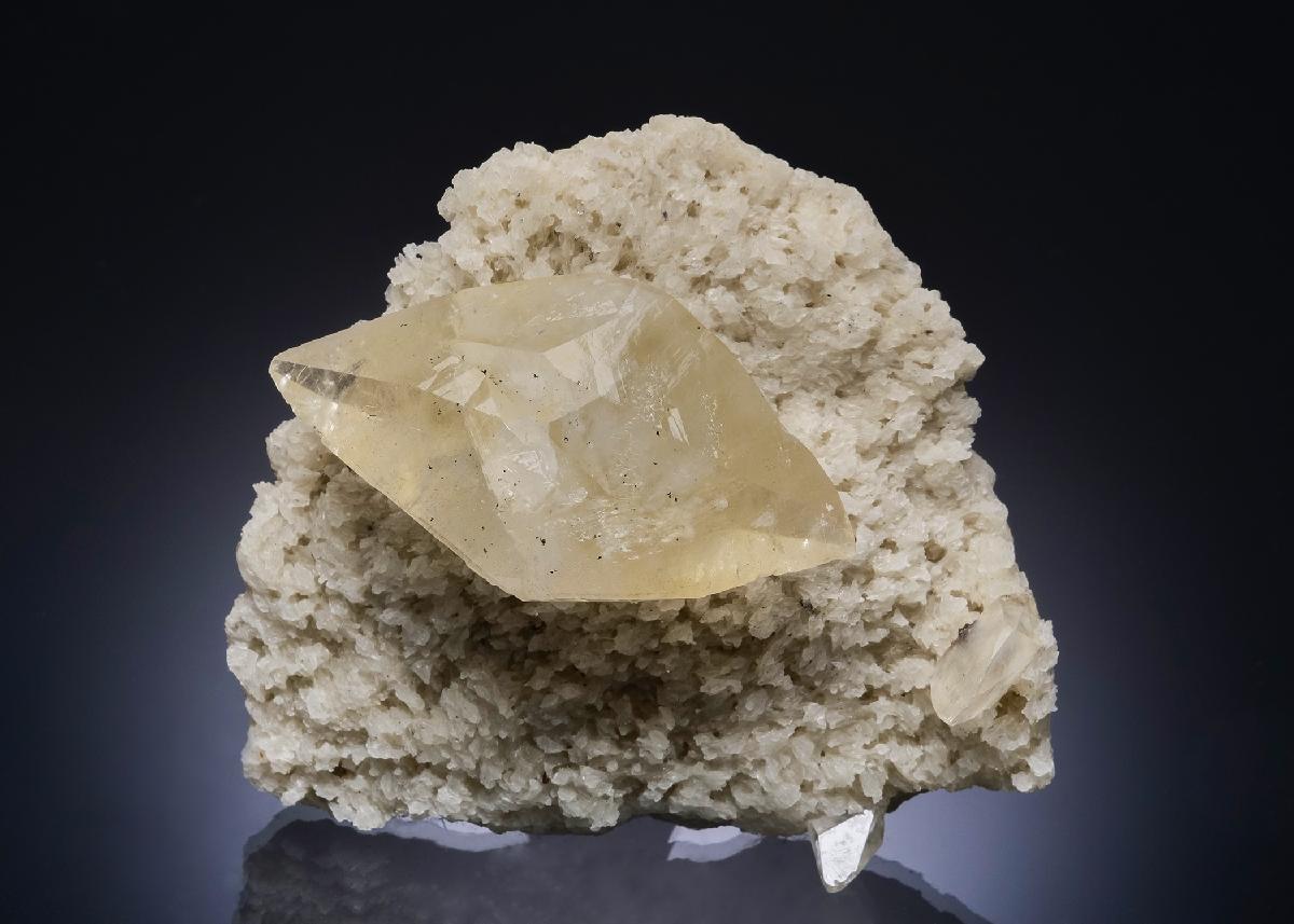 CC56172 specimen image