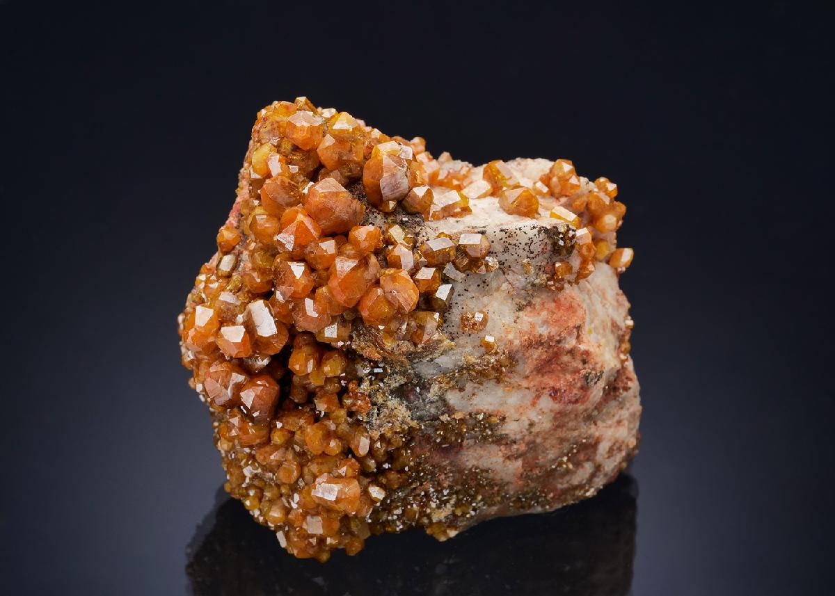 CC57202 specimen image