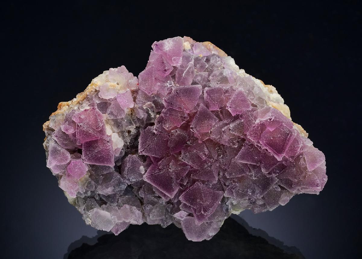 CC57224 specimen image