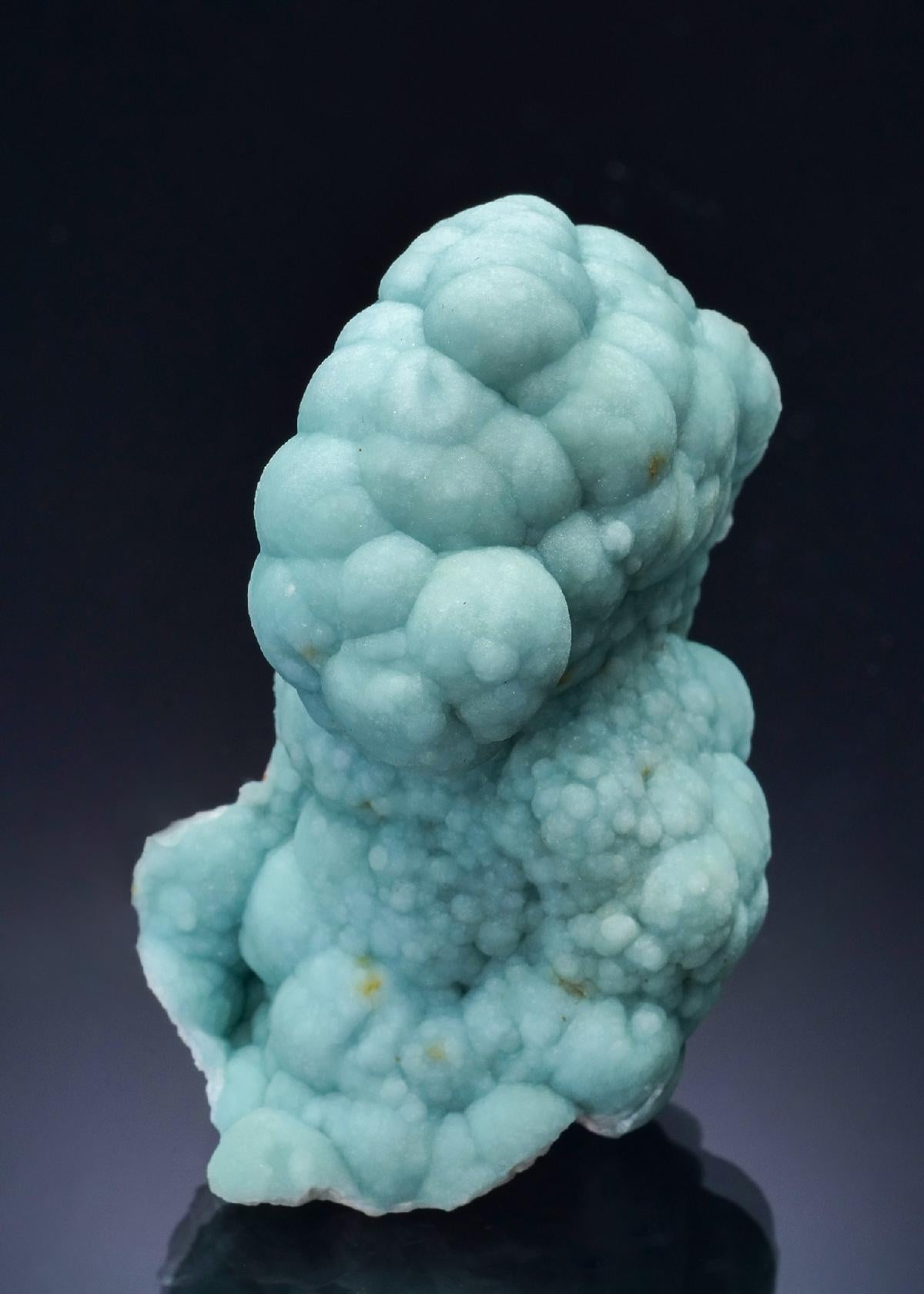 CC57232 specimen image
