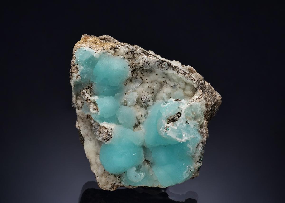 CC57246 specimen image