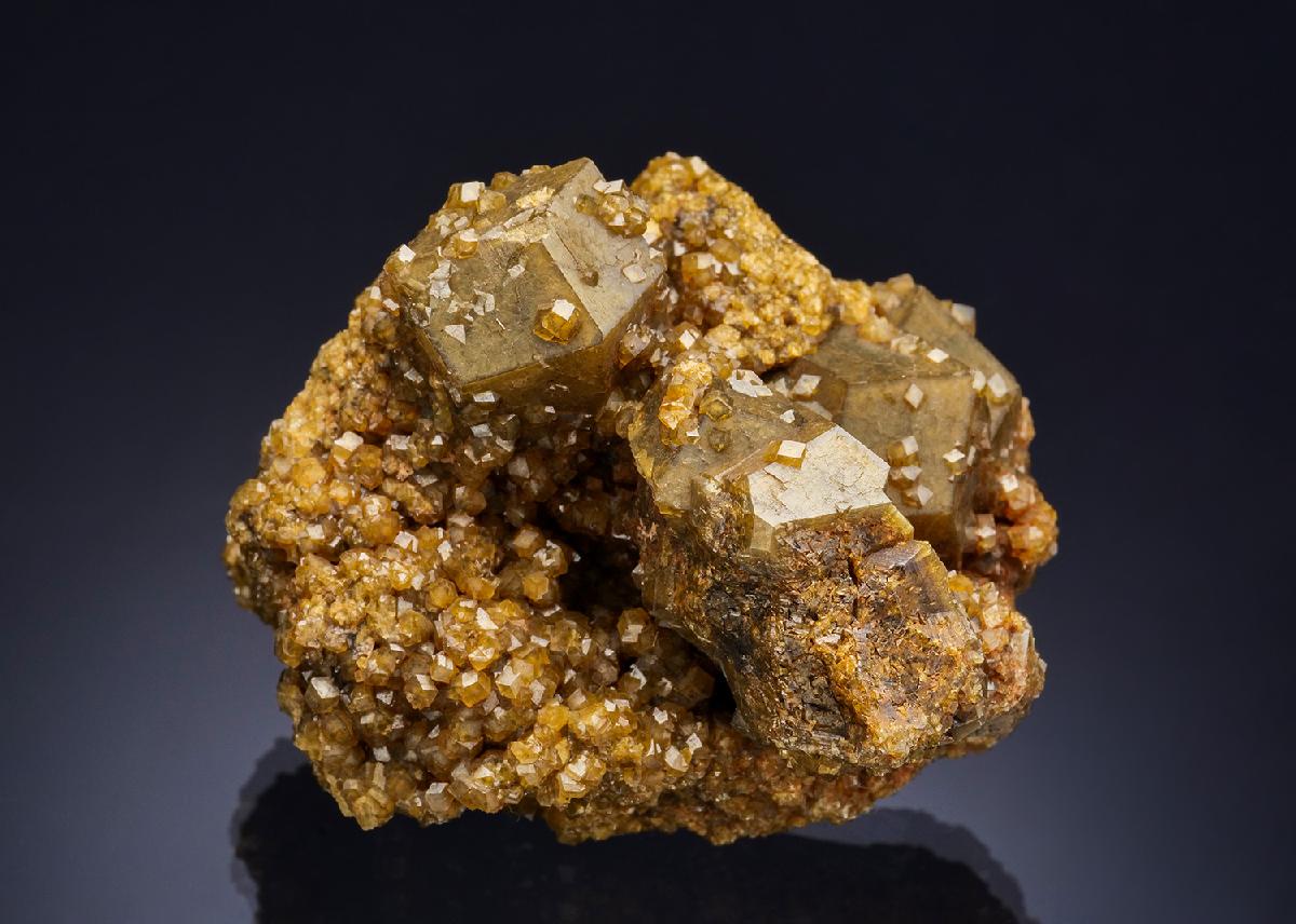 CC57248 specimen image