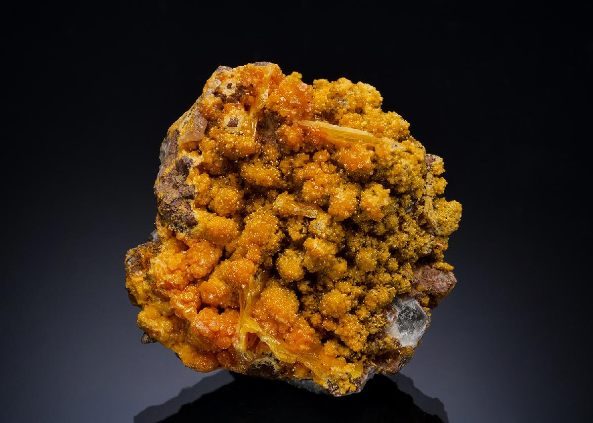 CC57290 specimen image