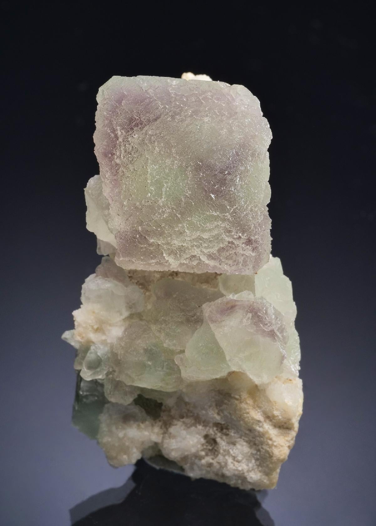 CC57306 specimen image