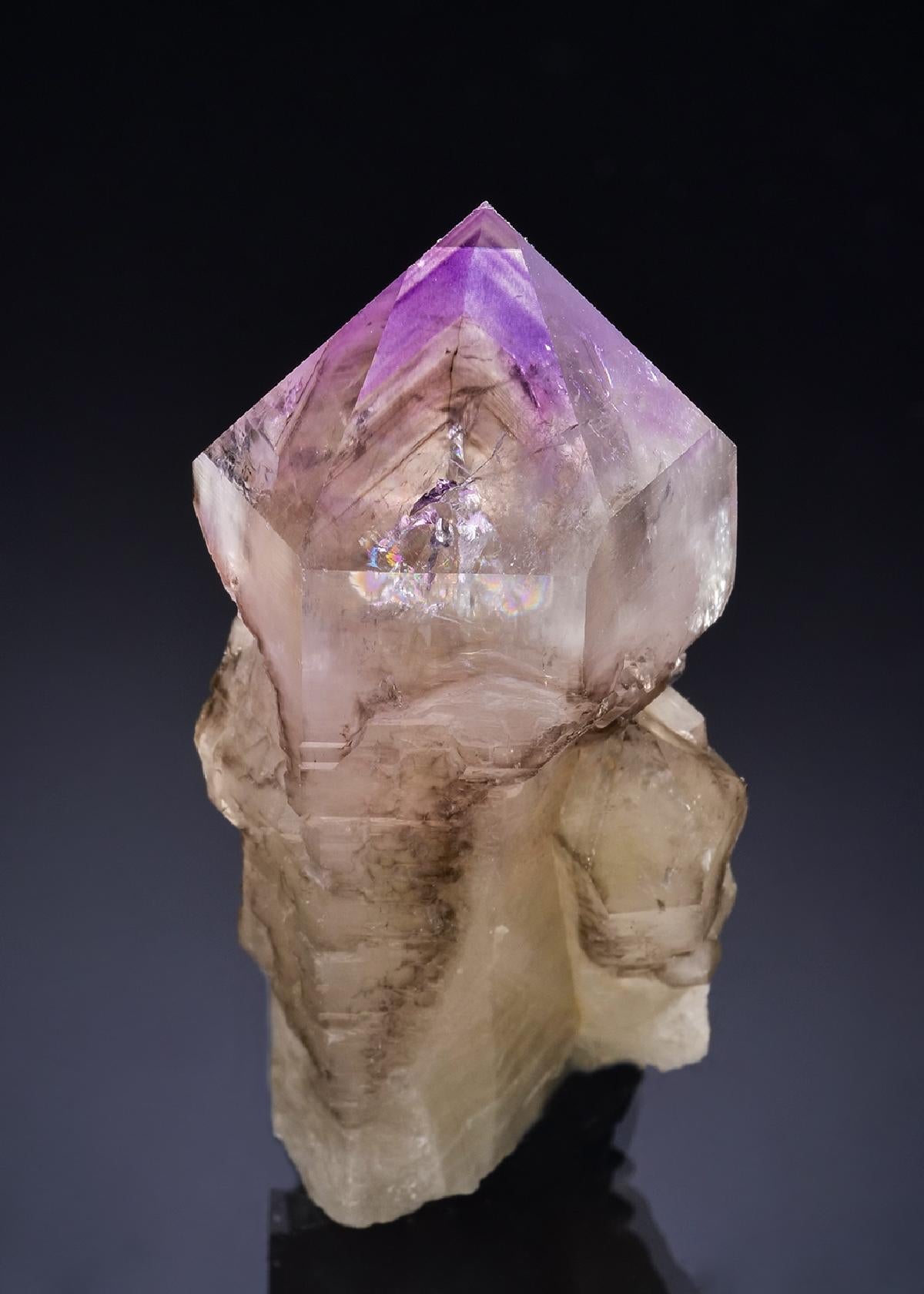 CC57312 specimen image
