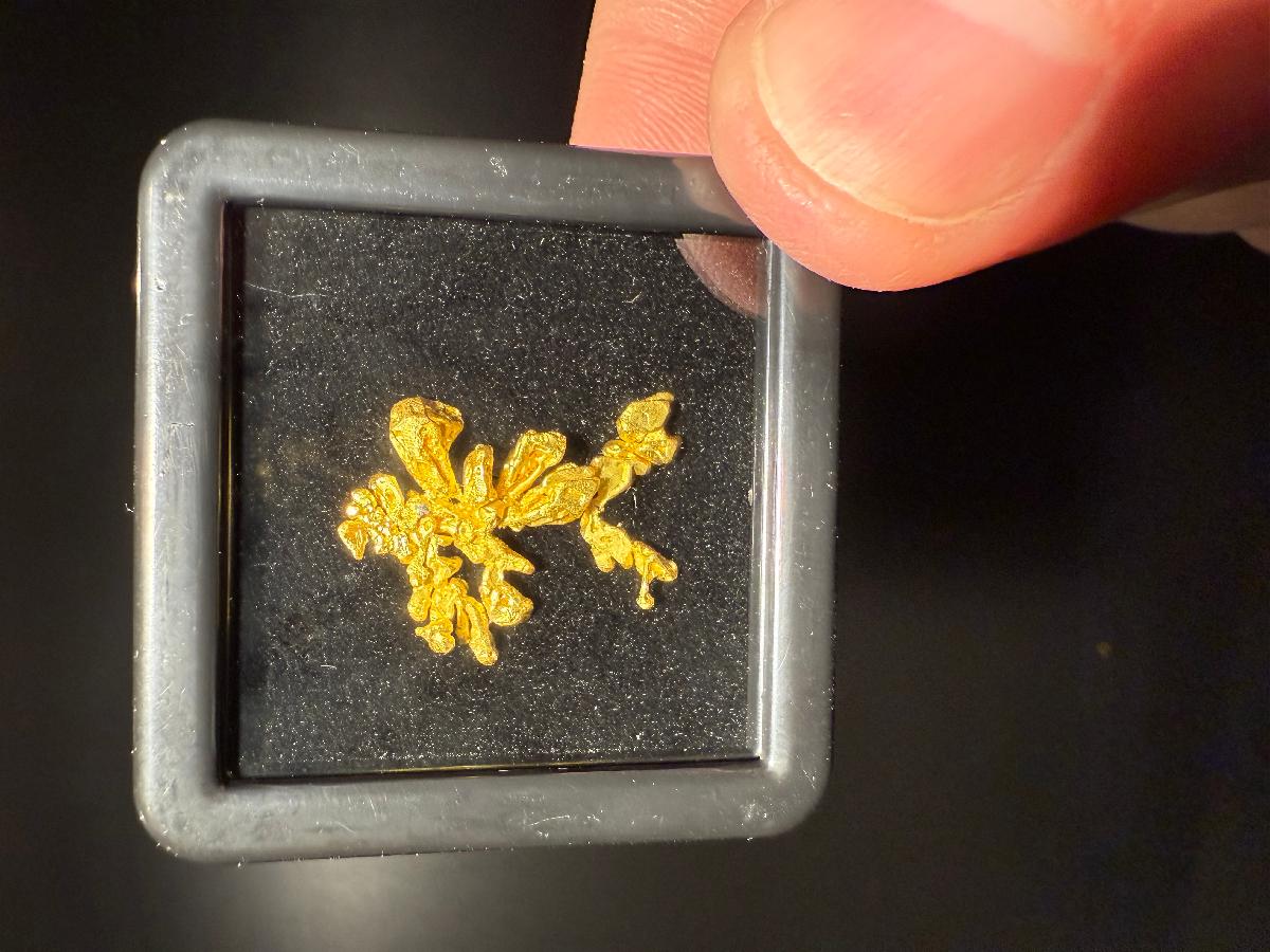 CC58006 specimen image