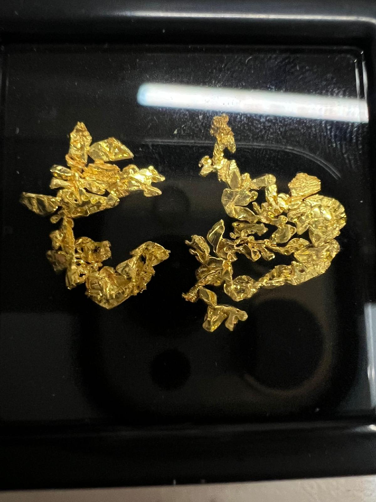 CC58575 specimen image
