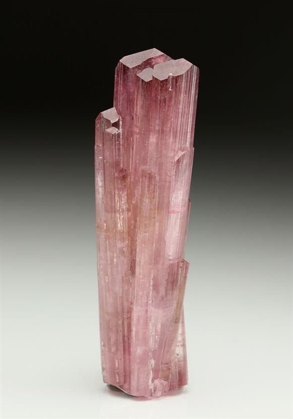CC5873 specimen image