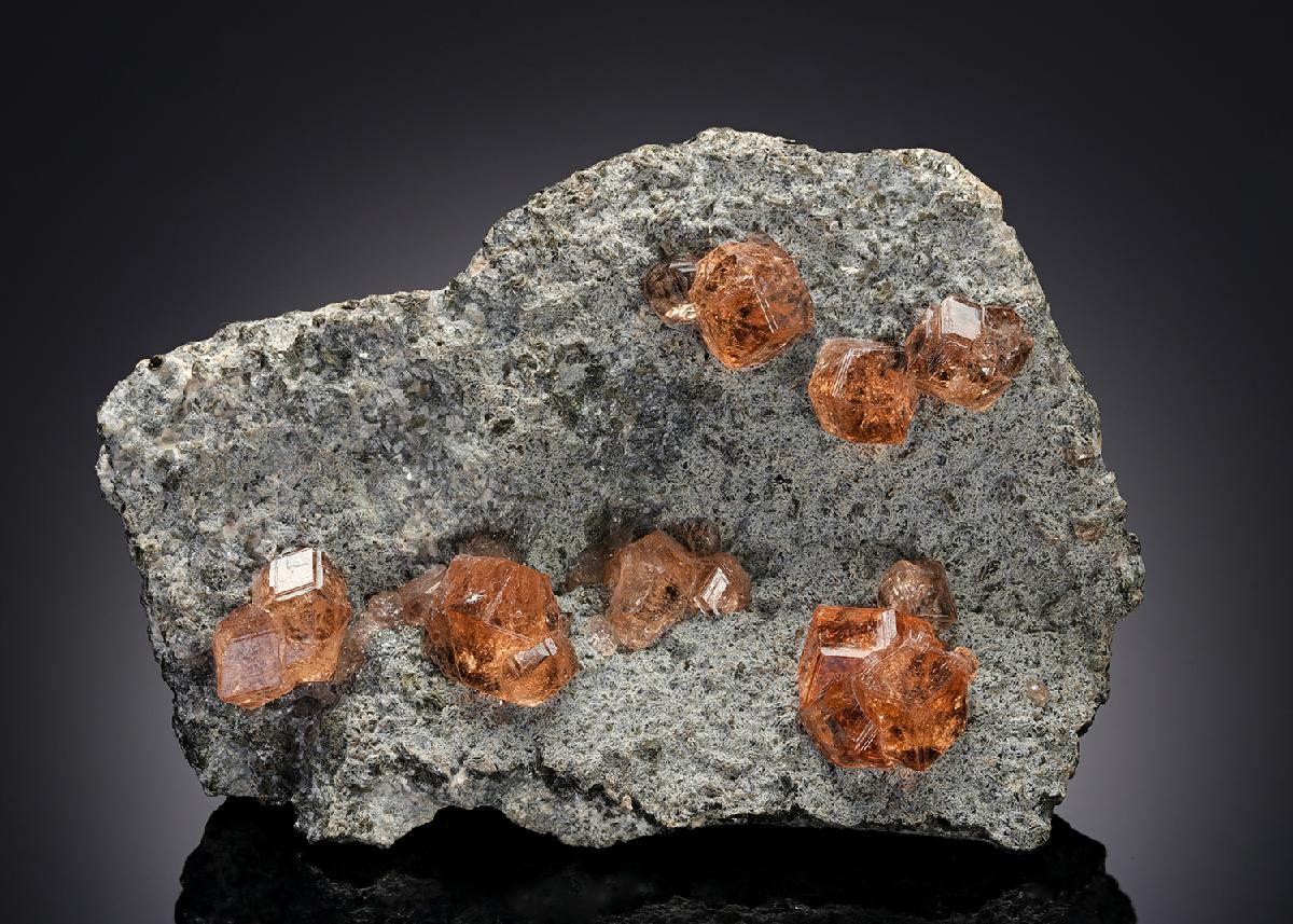 CC5953 specimen image