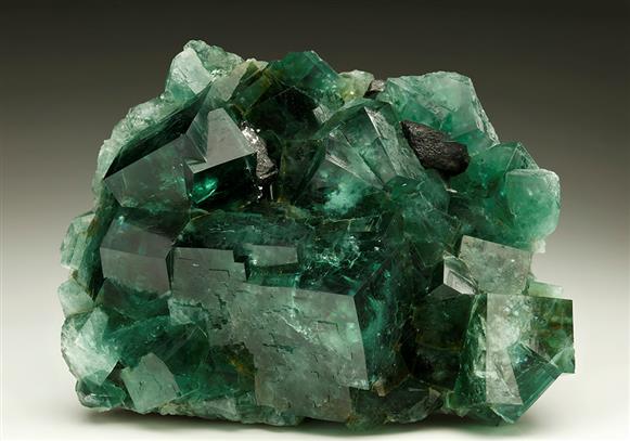 CC6033 specimen image
