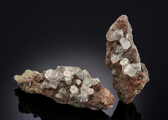 CC60573 specimen image