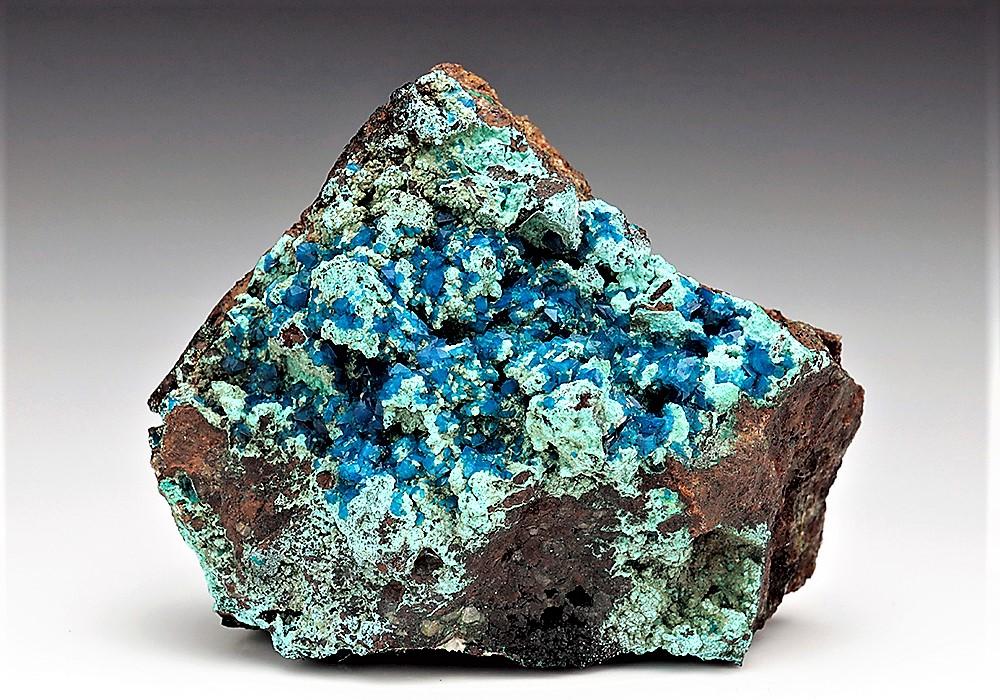 CC6065 specimen image
