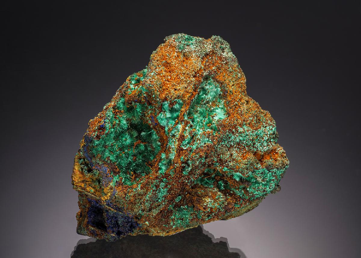 CC6236 specimen image