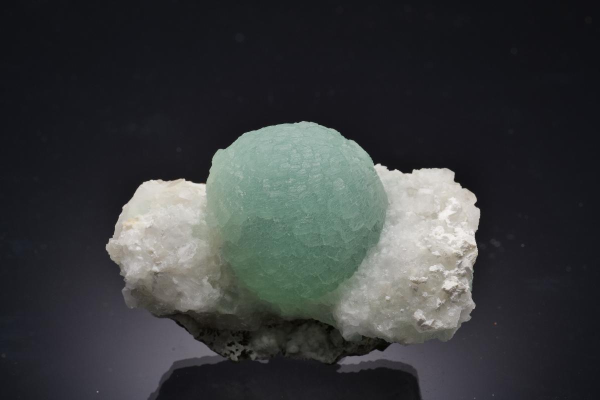CC63342 specimen image