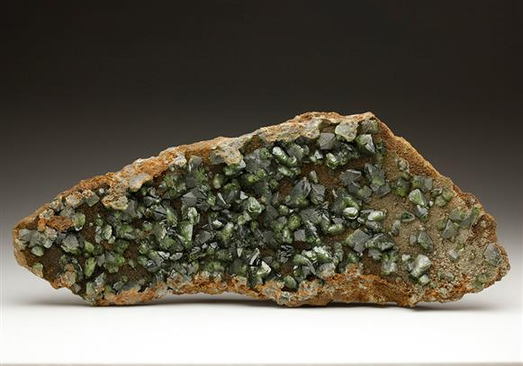 CC6349 specimen image