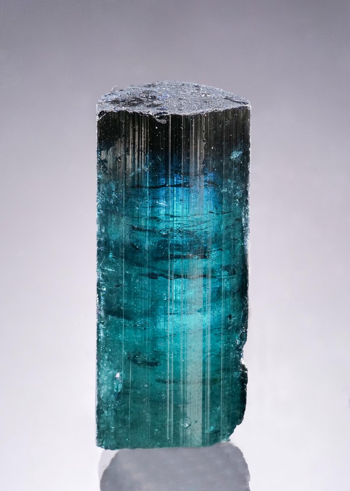 CC63507 specimen image