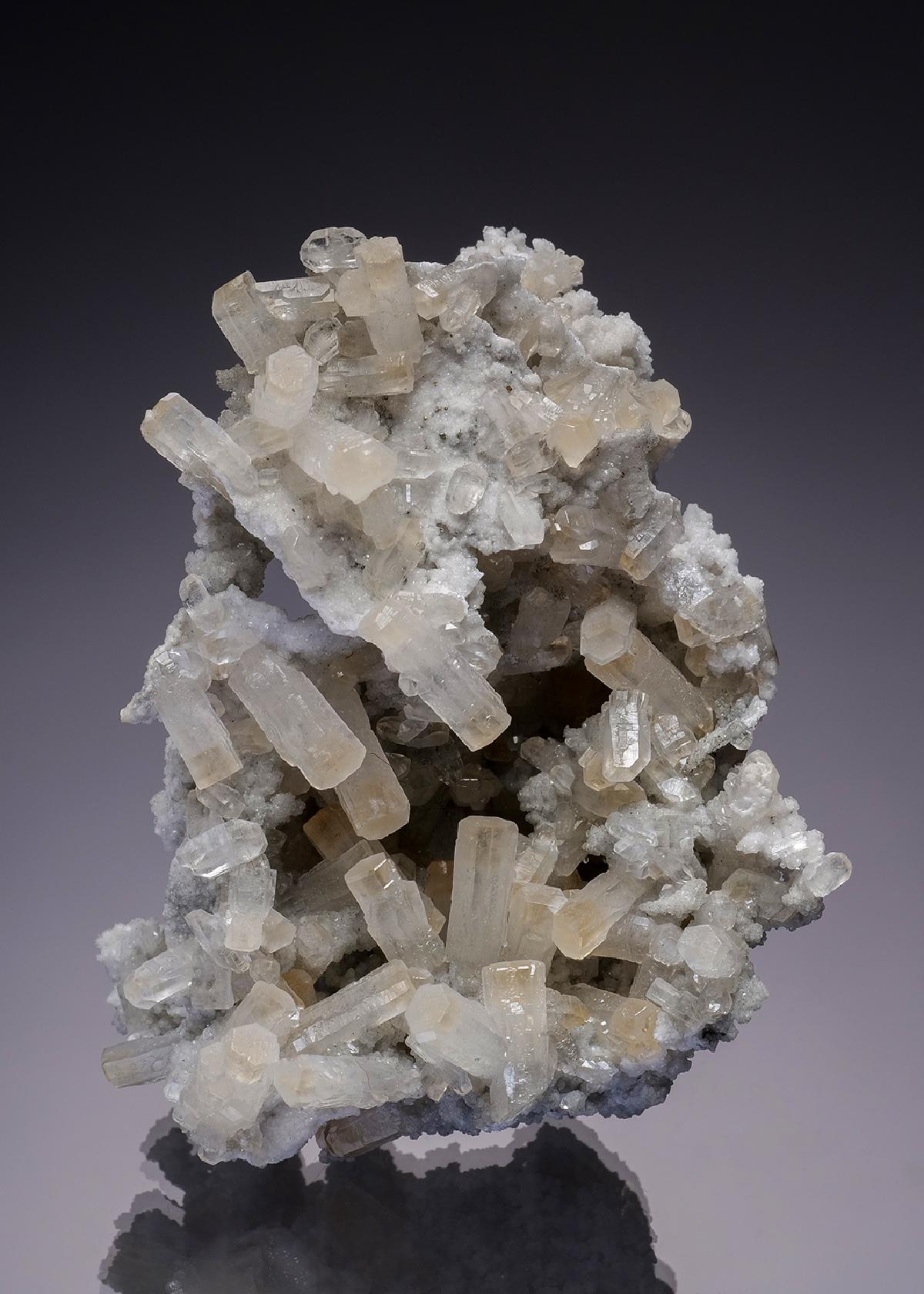 CC6367 specimen image
