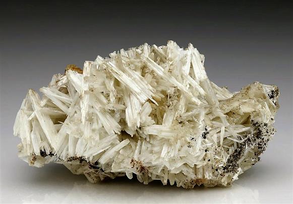 CC6432 specimen image
