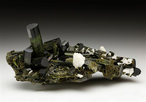 CC6698 specimen image