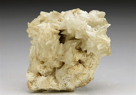 CC6705 specimen image