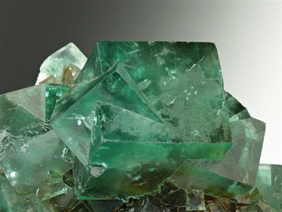 CC6711 specimen image