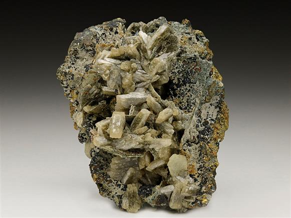 CC6728 specimen image