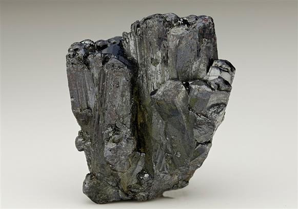 CC6908 specimen image